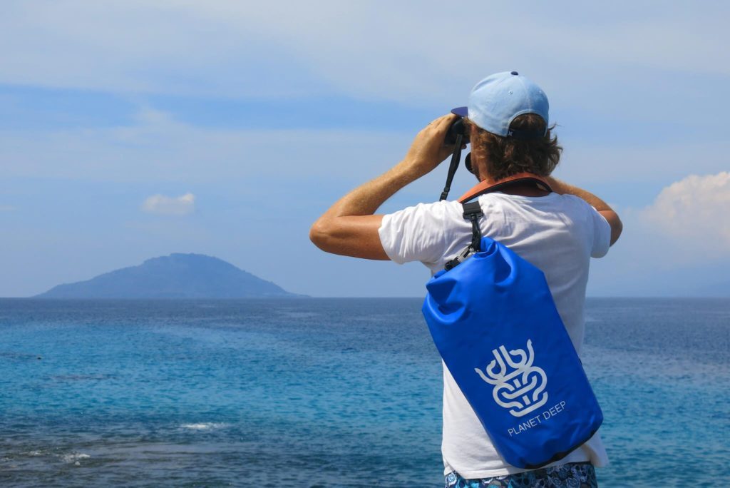 Whale Watching at SAVU