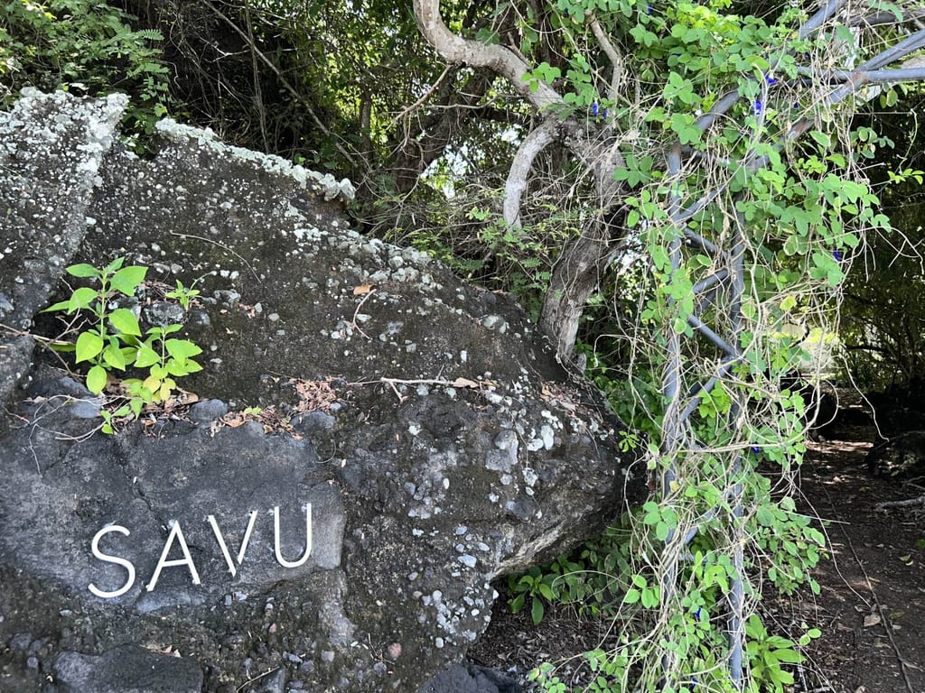 Sustainability in Alor
